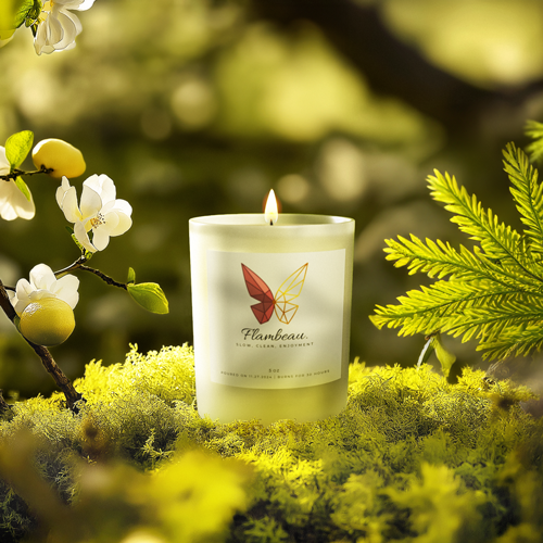 Lemon Blossom & Cedarwood Candle (ECO)